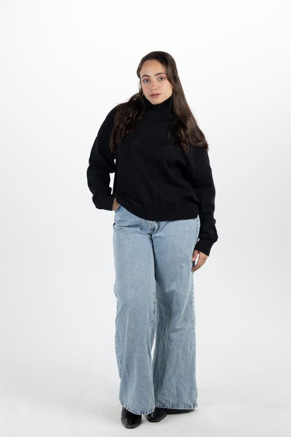 Turtleneck Sweater In Black