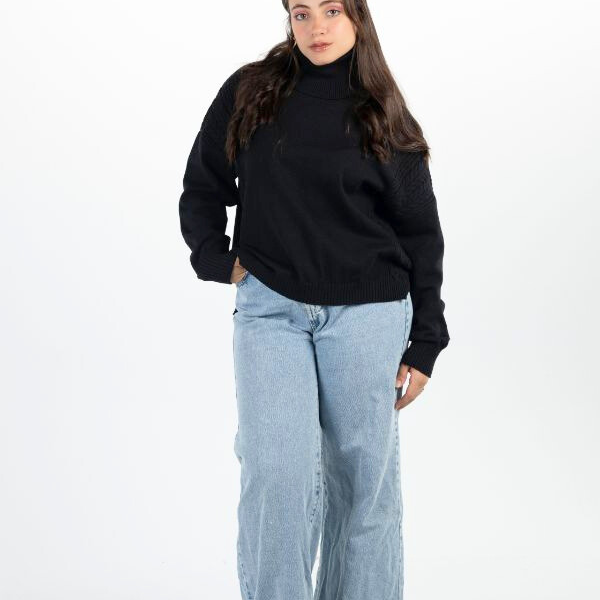 Turtleneck Sweater In Black