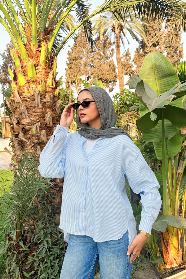 Oversized Striped Shirt In Blue